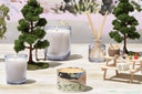 Far and Away - Illume Candles
