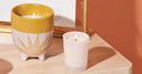Shine | Illume Candles