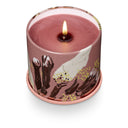 Cardamom Pomander Vanity Tin Candle - Illume Candles - 46263011000