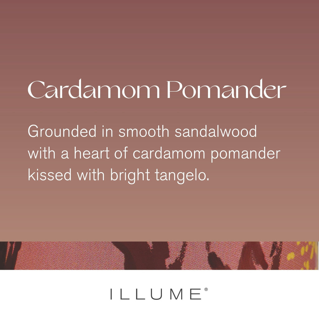 Cardamom Pomander Large Boxed Crackle Glass Candle - Illume Candles - 46284011000