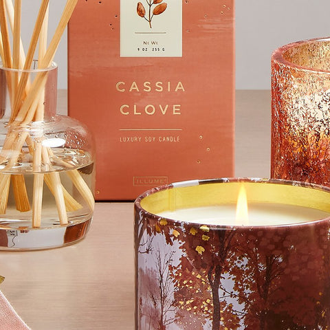 Cassia Clove | Illume Candles