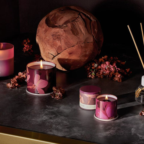 Oleander Oak - Illume Candles