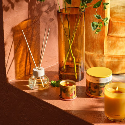 Rhubarb Honey - Illume Candles