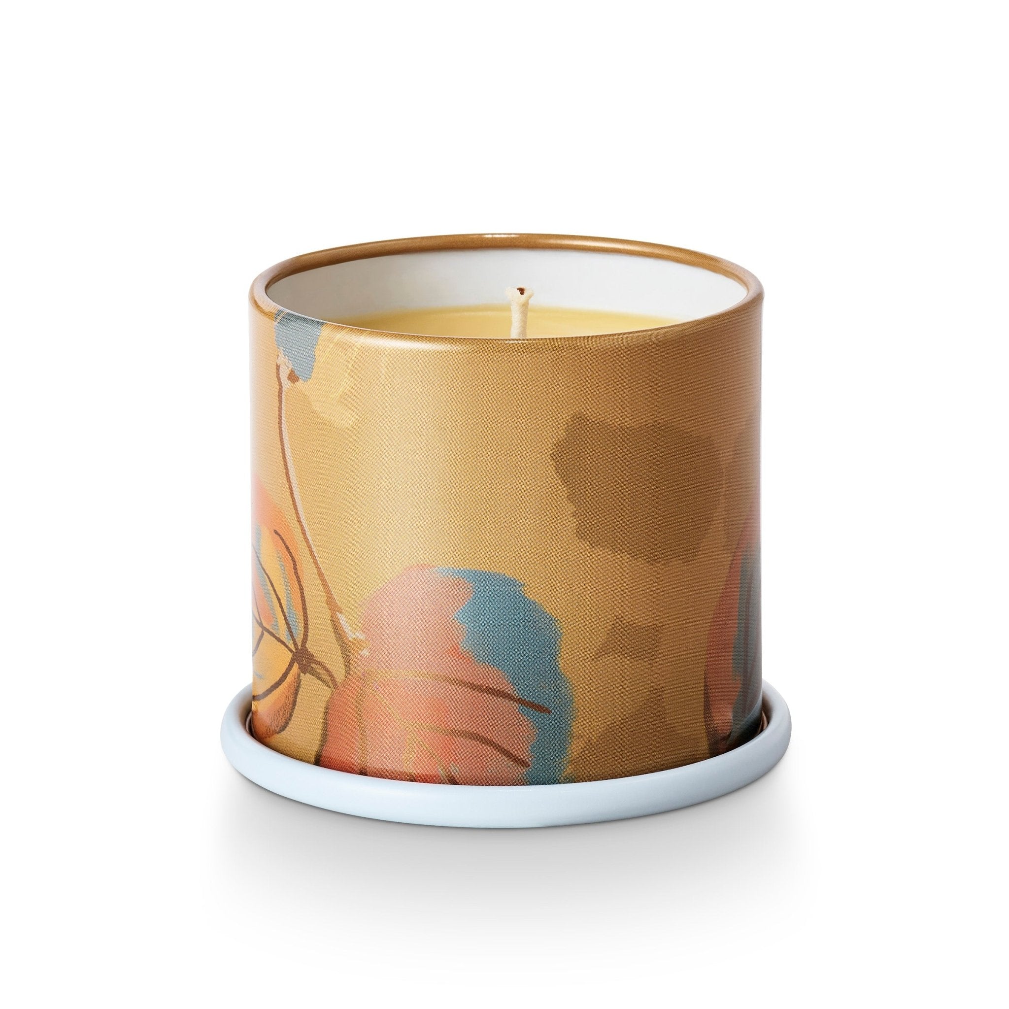 Santal Birch Demi Vanity Tin Candle – Illume Candles