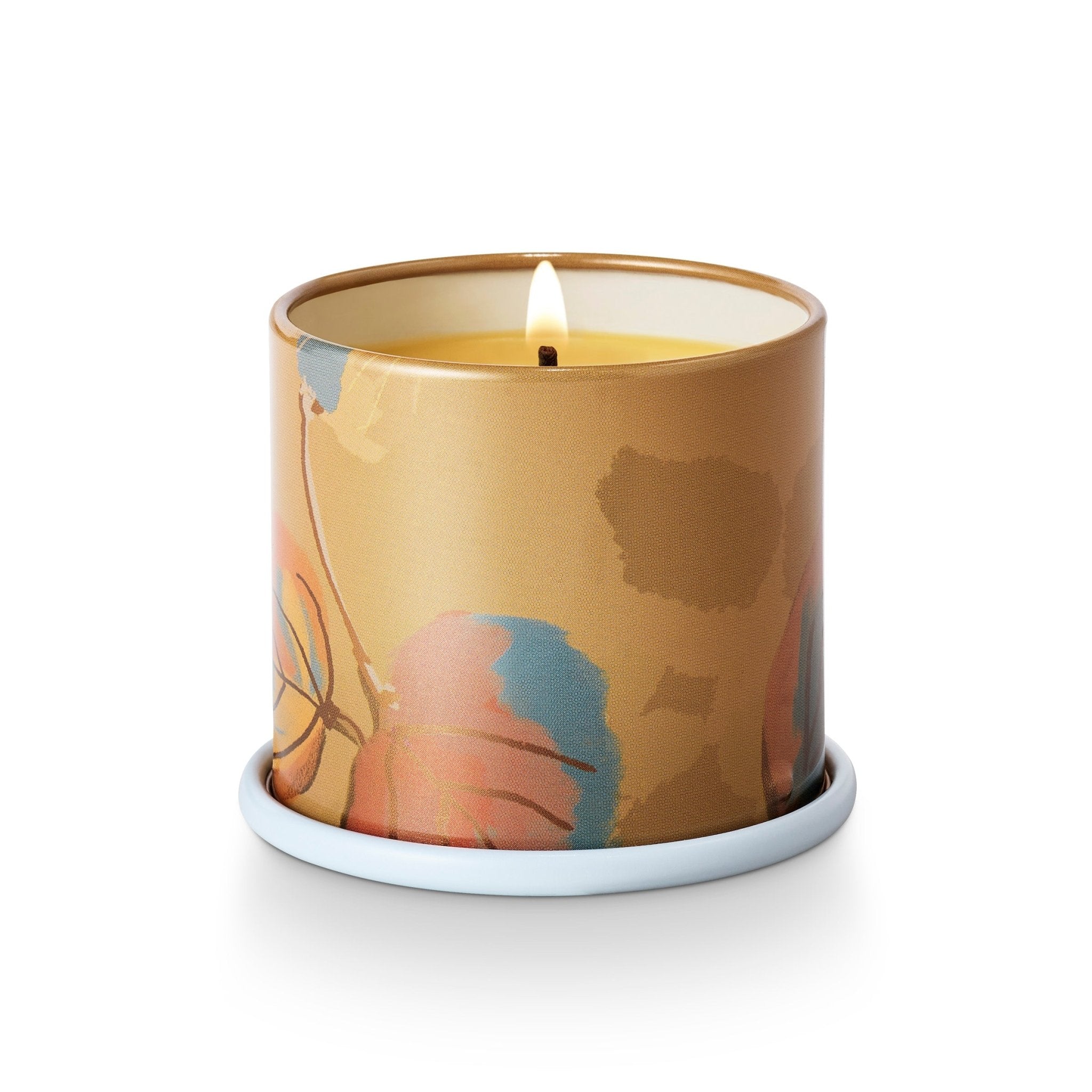 Santal Birch Demi Vanity Tin Candle – Illume Candles