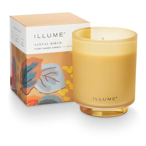 Santal Birch Refillable Boxed Glass Candle - Illume Candles - 45375009000