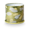 Borealis Moss Vanity Tin Candle - Illume Candles - 46263006000