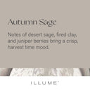Autumn Sage Gather Glass Candle - Illume Candles - 46287008000