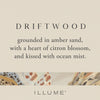 Driftwood Demi Vanity Tin Candle - Illume Candles - 45364005000