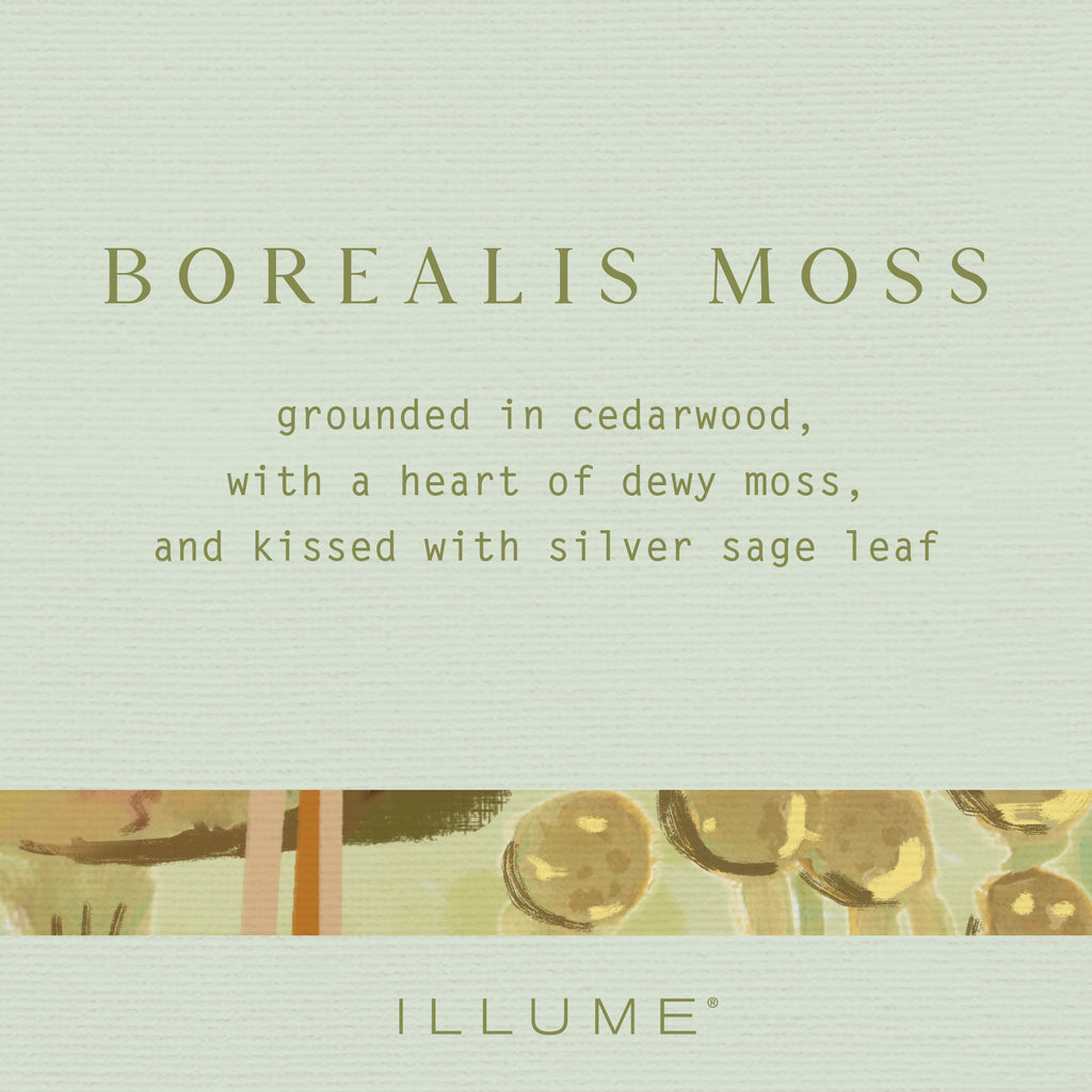 Borealis Moss Vanity Tin Candle - Illume Candles - 46263006000