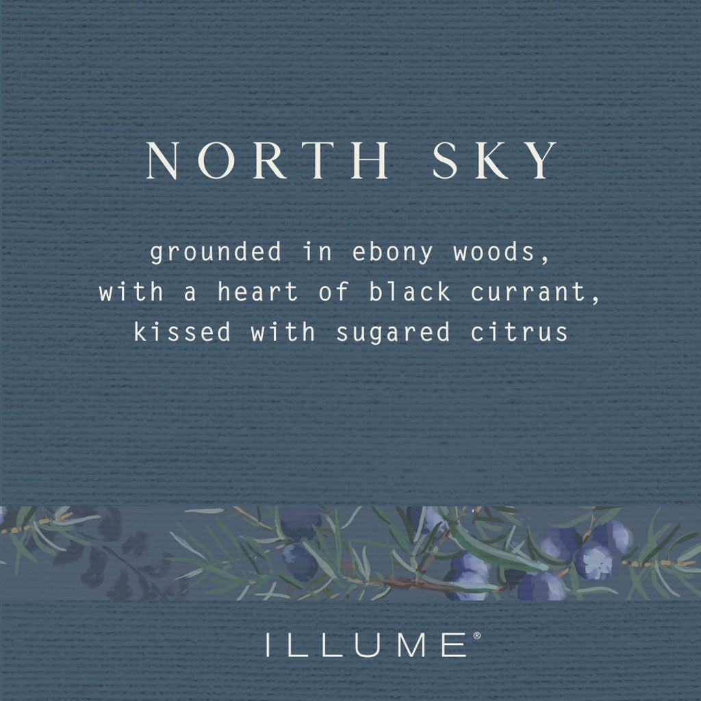 North Sky Small Luxe Sanded Mercury Candle - Illume Candles - 45340083000