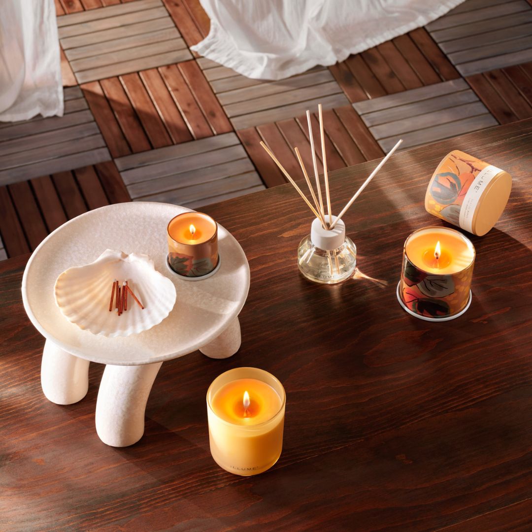 Santal Birch Aromatic Diffuser – Illume Candles