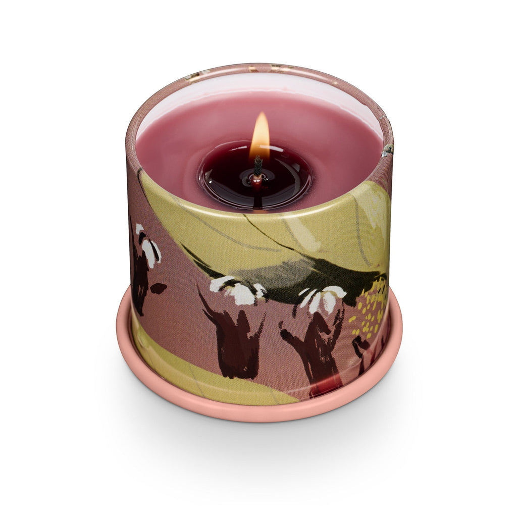 Cardamom Pomander Demi Vanity Tin Candle - Illume Candles - 45364011000