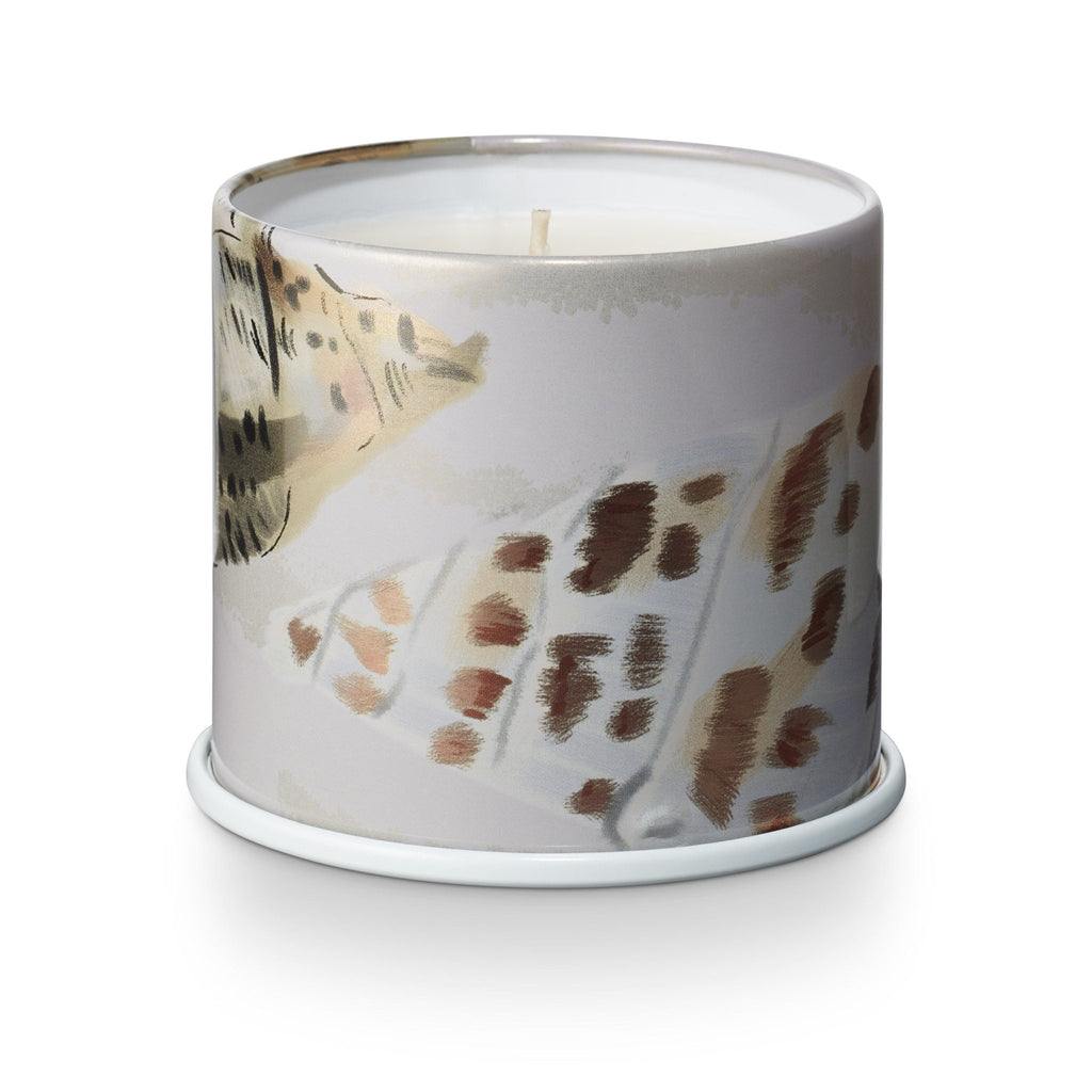 Driftwood Vanity Tin Candle - Illume Candles - 46263005000