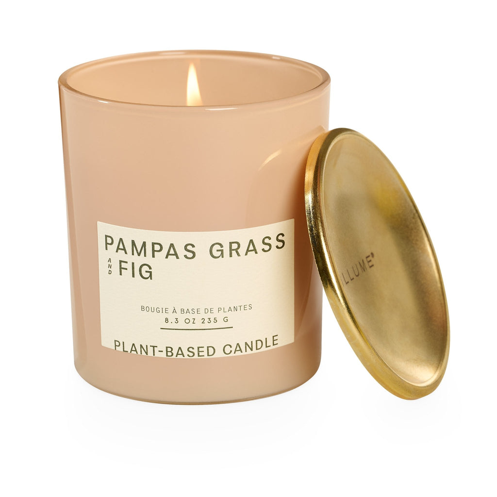 Pampas Grass and Fig Lidded Jar Candle - Illume Candles - 46269005000