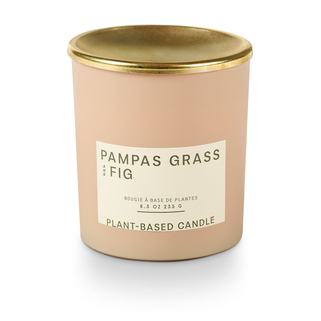 Pampas Grass and Fig Lidded Jar Candle - Illume Candles - 46269005000