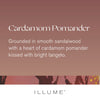 Cardamom Pomander Demi Vanity Tin Candle - Illume Candles - 45364011000