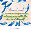 Citrus Crush Demi Rollerball Perfume - Illume Candles - 45233343000