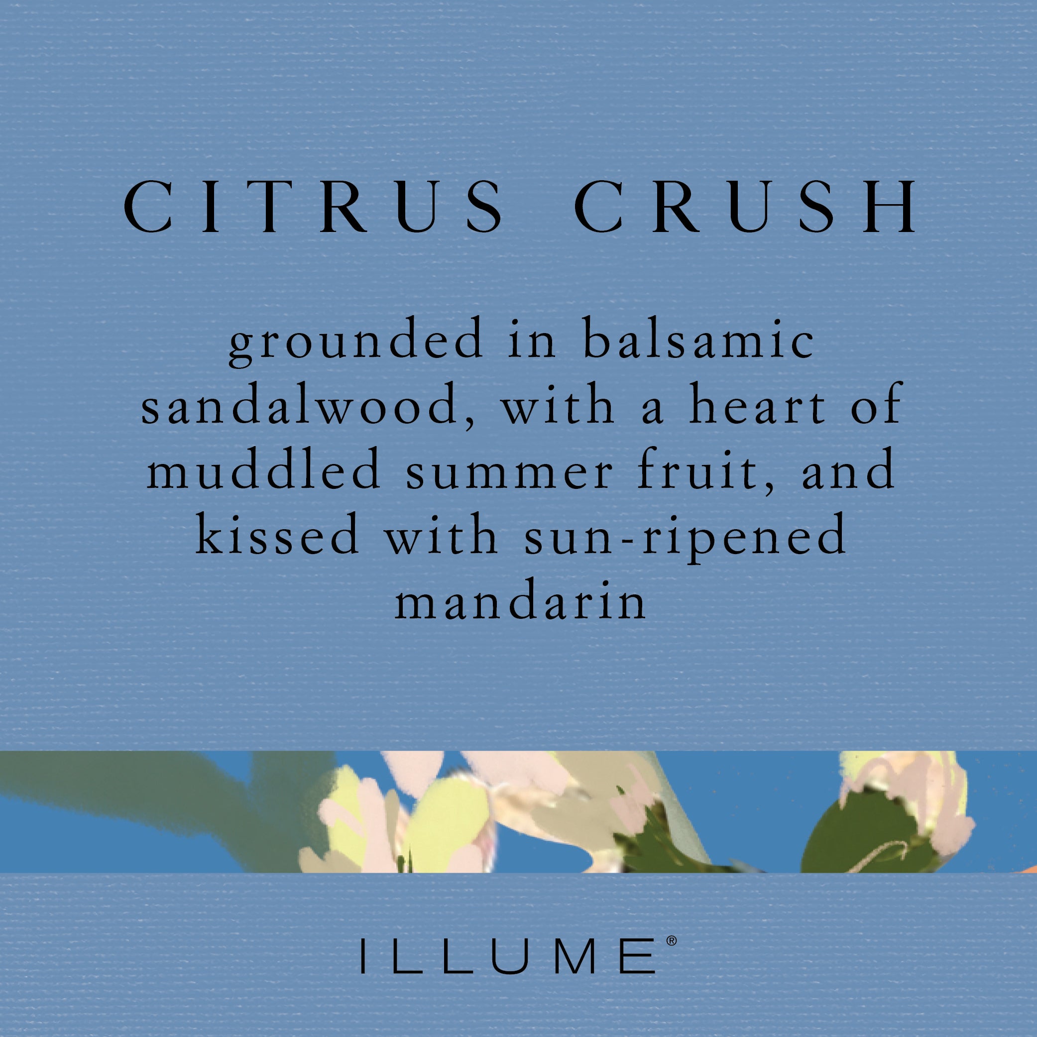 Citrus Crush Demi Vanity Tin Candle - Thumbnail 4